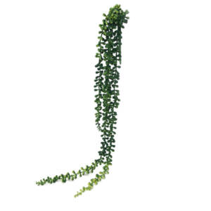 Colar-de-Pérolas Suculenta Verde Pendente Artificial (75cm)