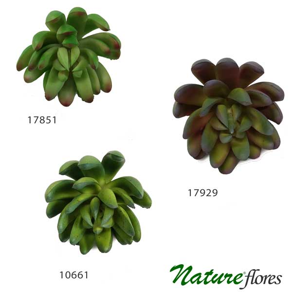 Suculenta Dedo de Moça Artificial (9cm) - Imagem 2