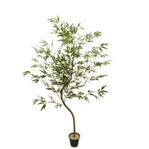 Bambu Mossô Verde Oliva Árvore Semi-Artificial (1,50-2,50m)