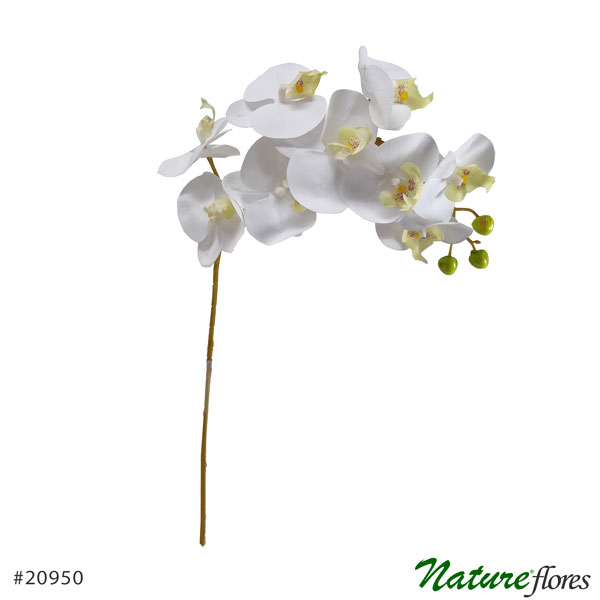 Orquídea Branca Galho Artificial 9 Flores (96cm)