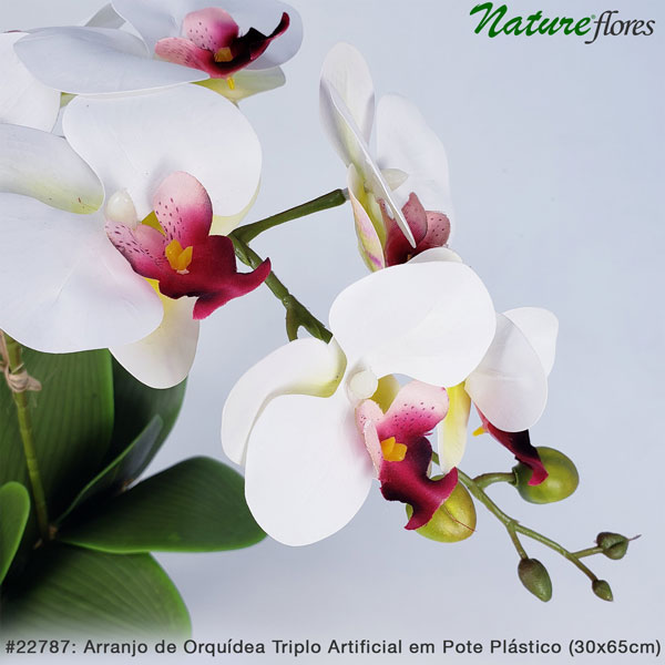 Arranjo de Orquídea Triplo Artificial em Pote Plástico (30x65cm) - Imagem 2