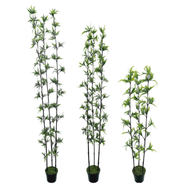 Fern Arbusto 3H c/ Pote (90cm - 1,80m)