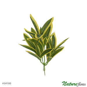 Dracena Pleomele Folhagem Artificial 5H (30cm)