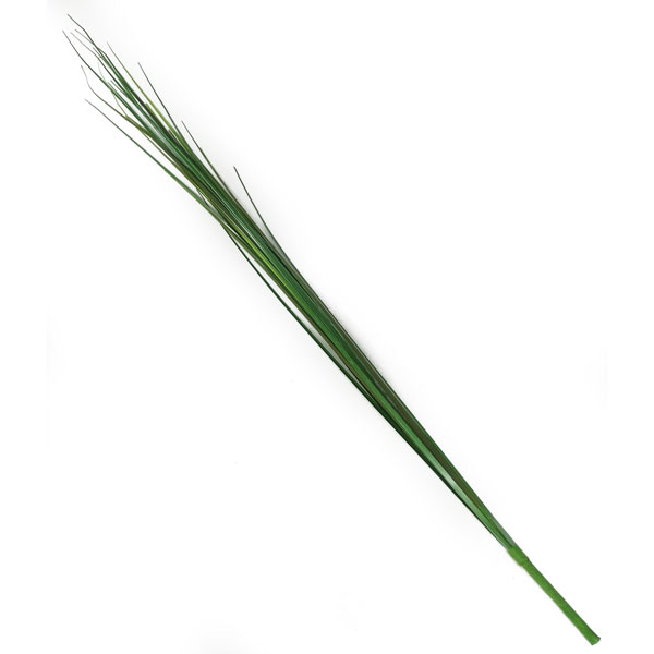 Capim Gigante Folhagem Artificial (103cm) - Imagem 2