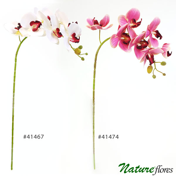 Orquídea Phalaenopsis Artificial 3D 7F (75cm) - Toque Real