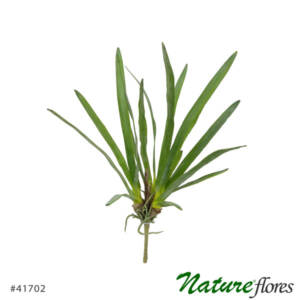 Folha de Orquídea em Silicone (61cm)