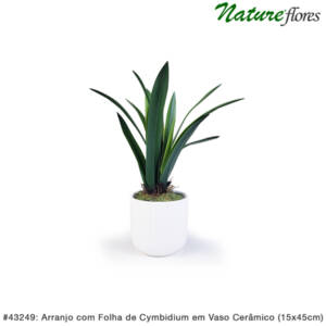 Arranjo com Folha de Cymbidium em Vaso Cerâmico (15x45cm)