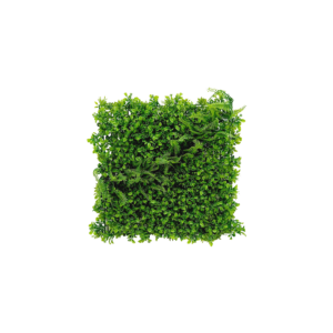 Placa Eucalipto e Samambaia Jardim Vertical (50x50cm)