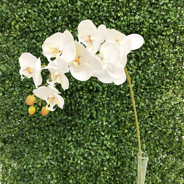 Phalaenopsis Branco Galho Floral Artificial 9F (1,10cm) - Imagem 4