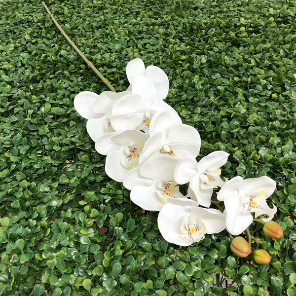 Phalaenopsis Branco Galho Floral Artificial 9F (1,10cm) - Imagem 5