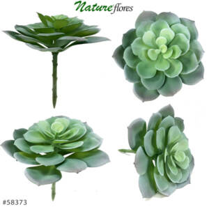Rosa-de-Pedra Suculenta Permanente (15cm)