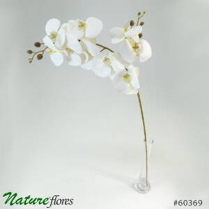 Orquídea Branca Phalaenopsis 3D 9F (1,00m)