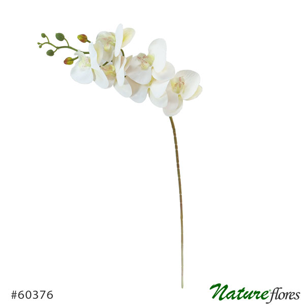 Orquídea Branca Phalaenopsis em Silicone 6F (94cm)