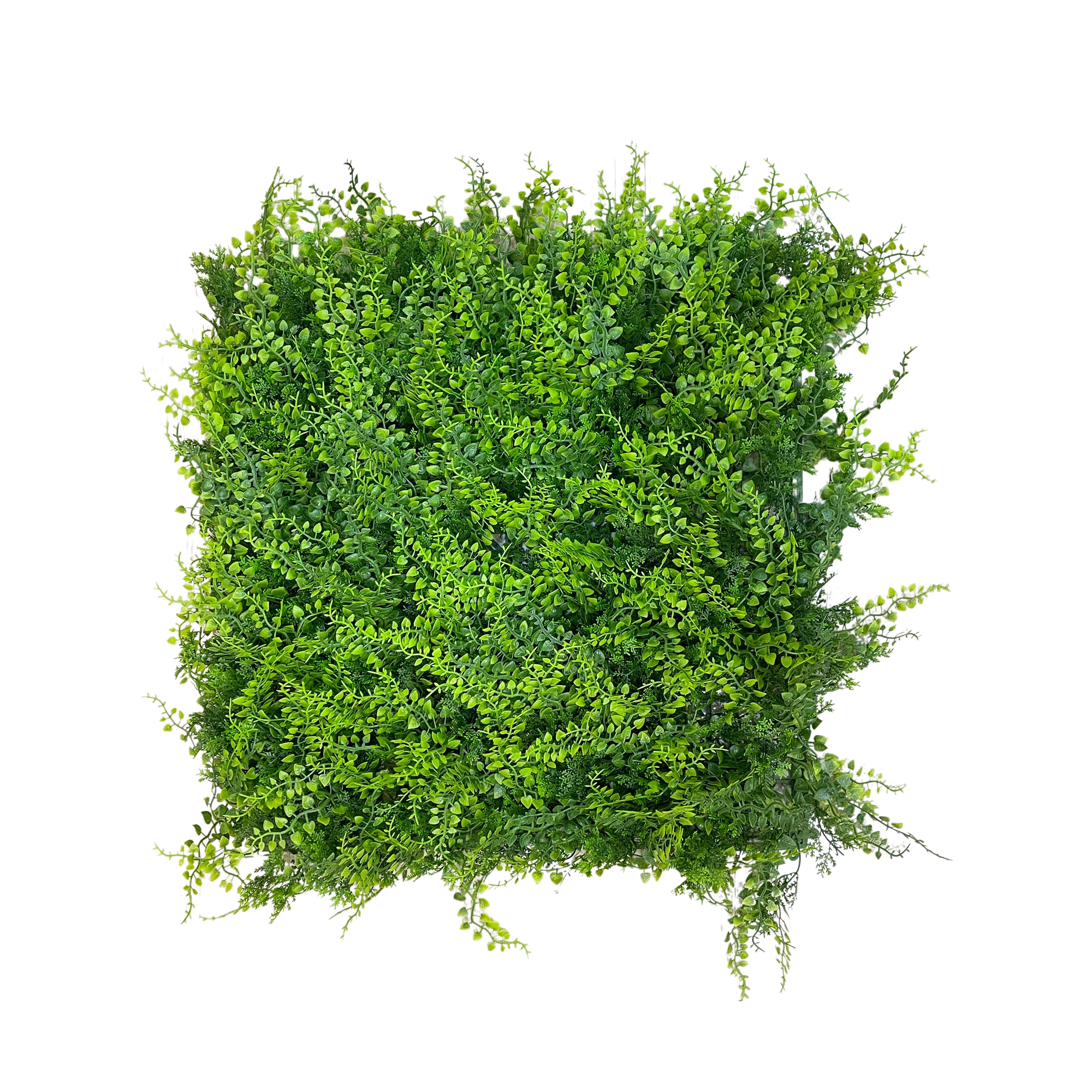 Placa Samambaia UV Jardim Vertical Artificial (50x50cm)