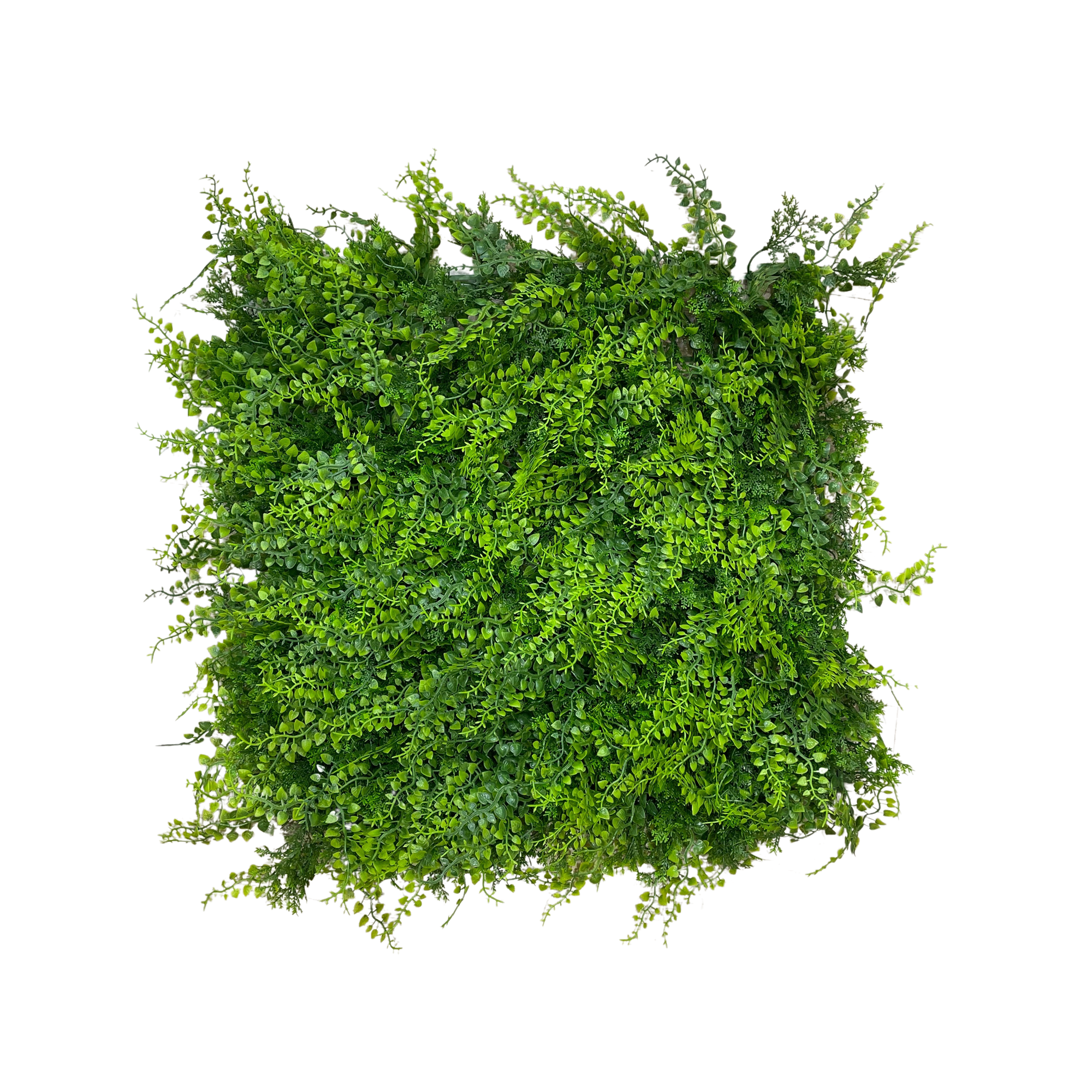 Placa Samambaia UV Jardim Vertical Artificial (50x50cm) - Imagem 8