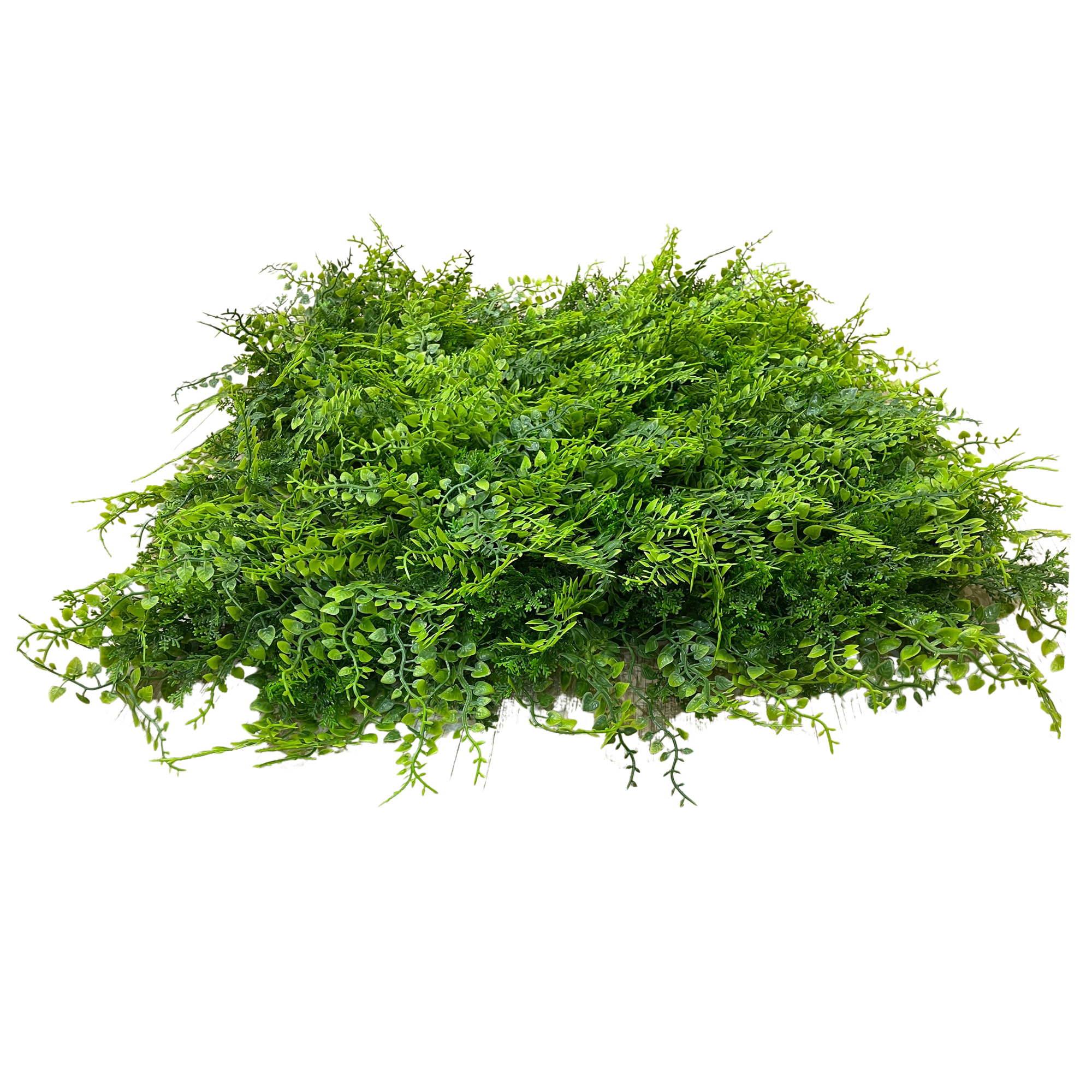 Placa Samambaia UV Jardim Vertical Artificial (50x50cm) - Imagem 7