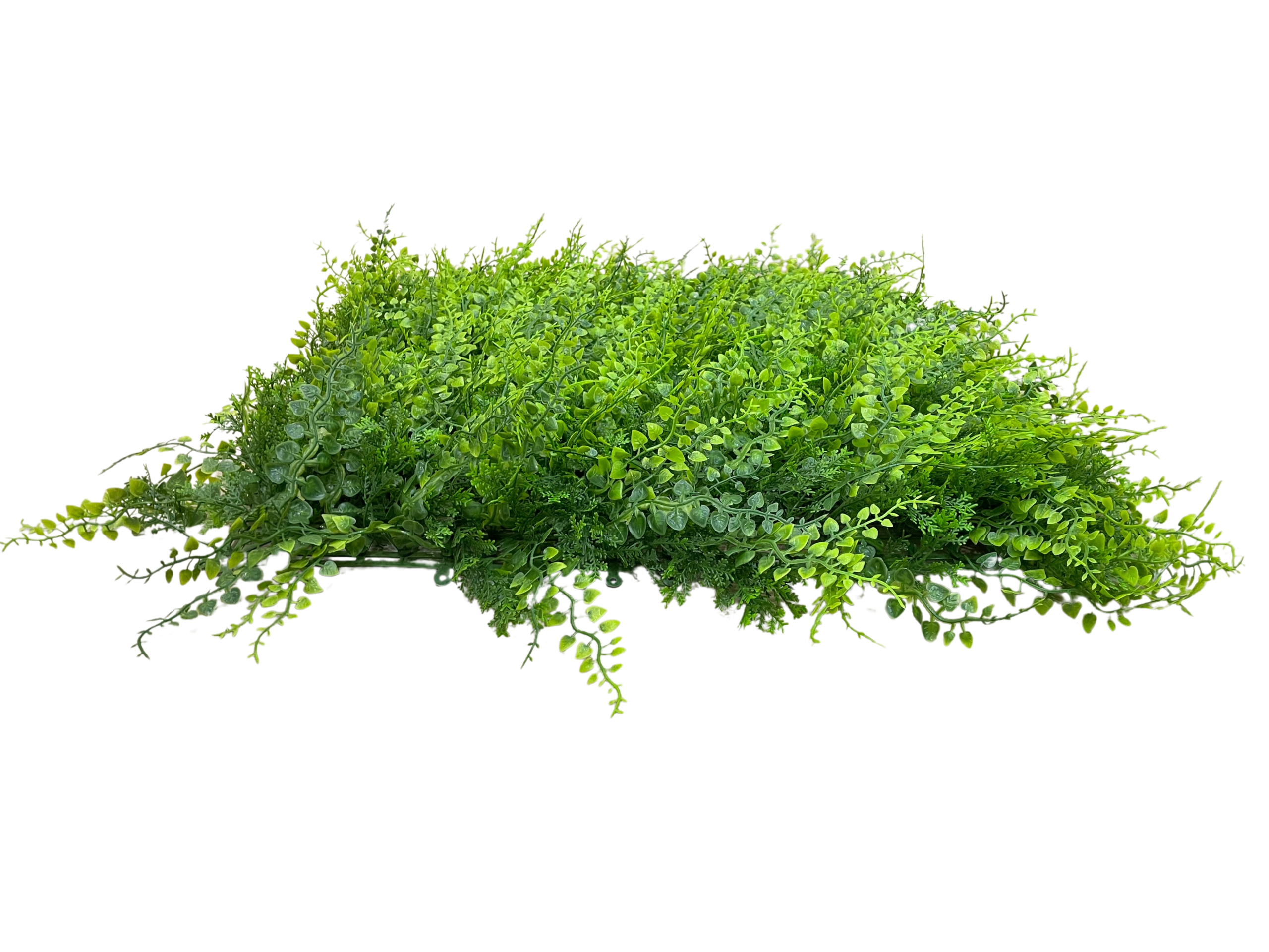 Placa Samambaia UV Jardim Vertical Artificial (50x50cm) - Imagem 6