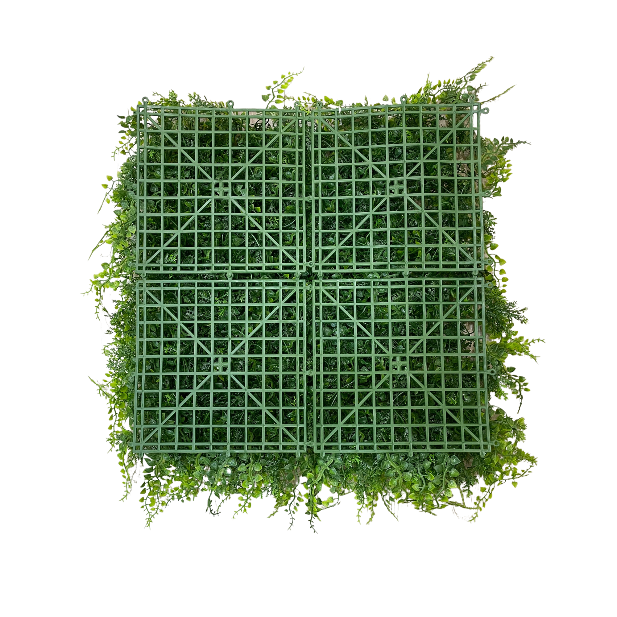 Placa Samambaia UV Jardim Vertical Artificial (50x50cm) - Imagem 5