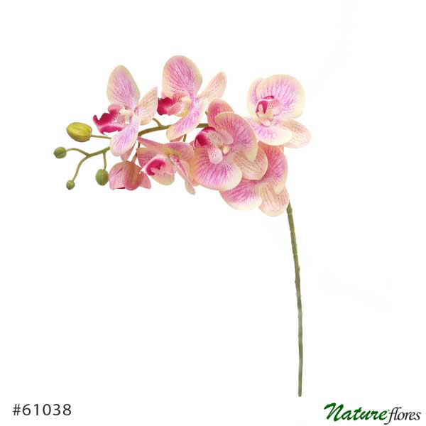 Orquídea Phalaenopsis Artificial 3D 7F (75cm) - Toque Real - Imagem 2
