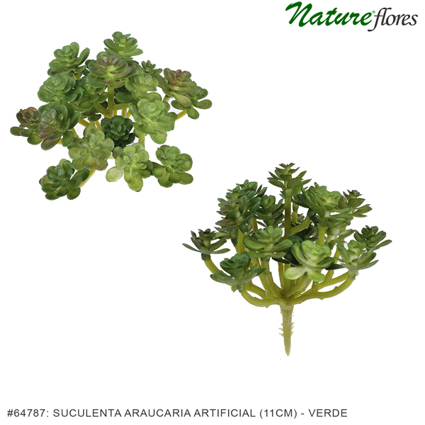 Suculenta Araucaria Artificial (11cm) - Imagem 2
