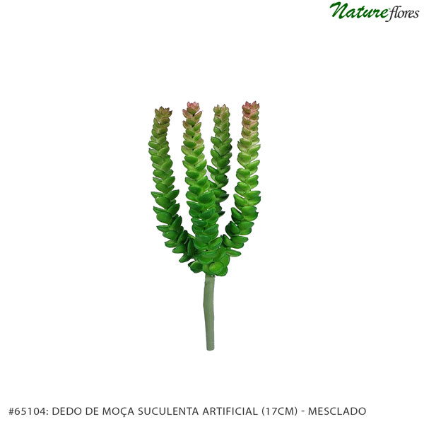 Dedo de Moça Suculenta Artificial (17cm) - Imagem 2