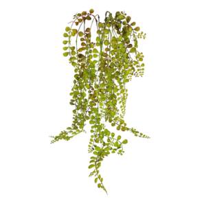 Dólar Folhagem Artificial Pendente (80cm)