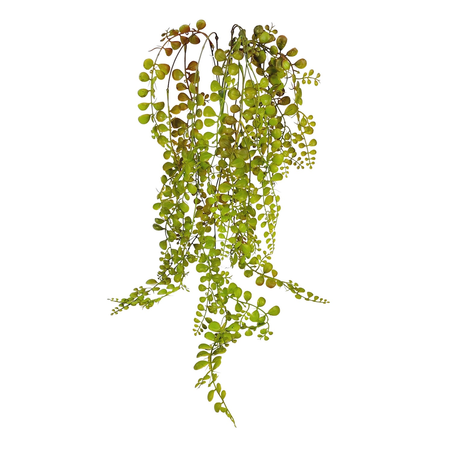 Dólar Folhagem Artificial Pendente (80cm)