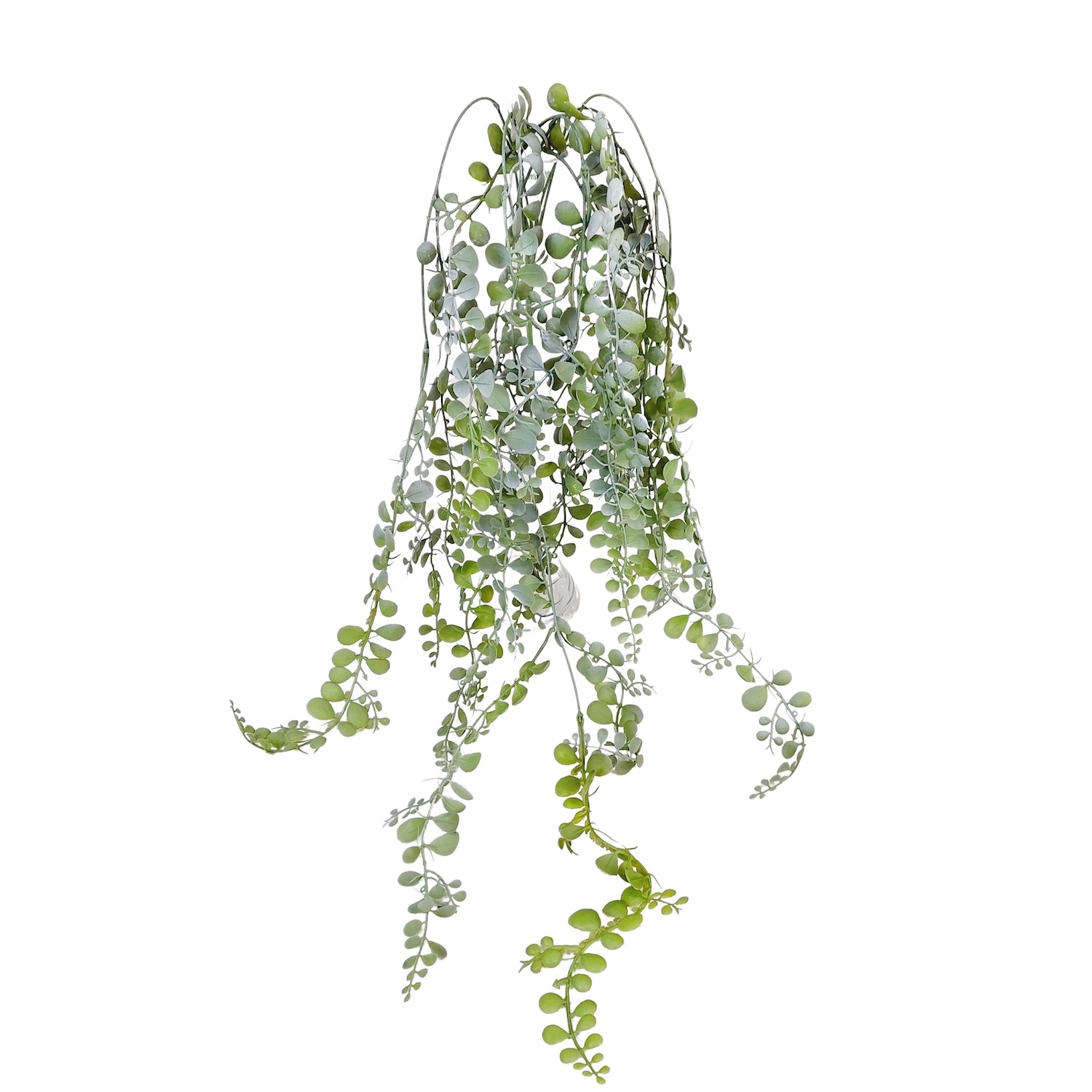 Dólar Folhagem Artificial Pendente (80cm) - Imagem 2