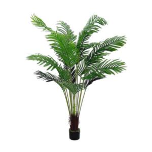 Palmeira Fenix 16 Folhas no Pote (1,65M) Verde