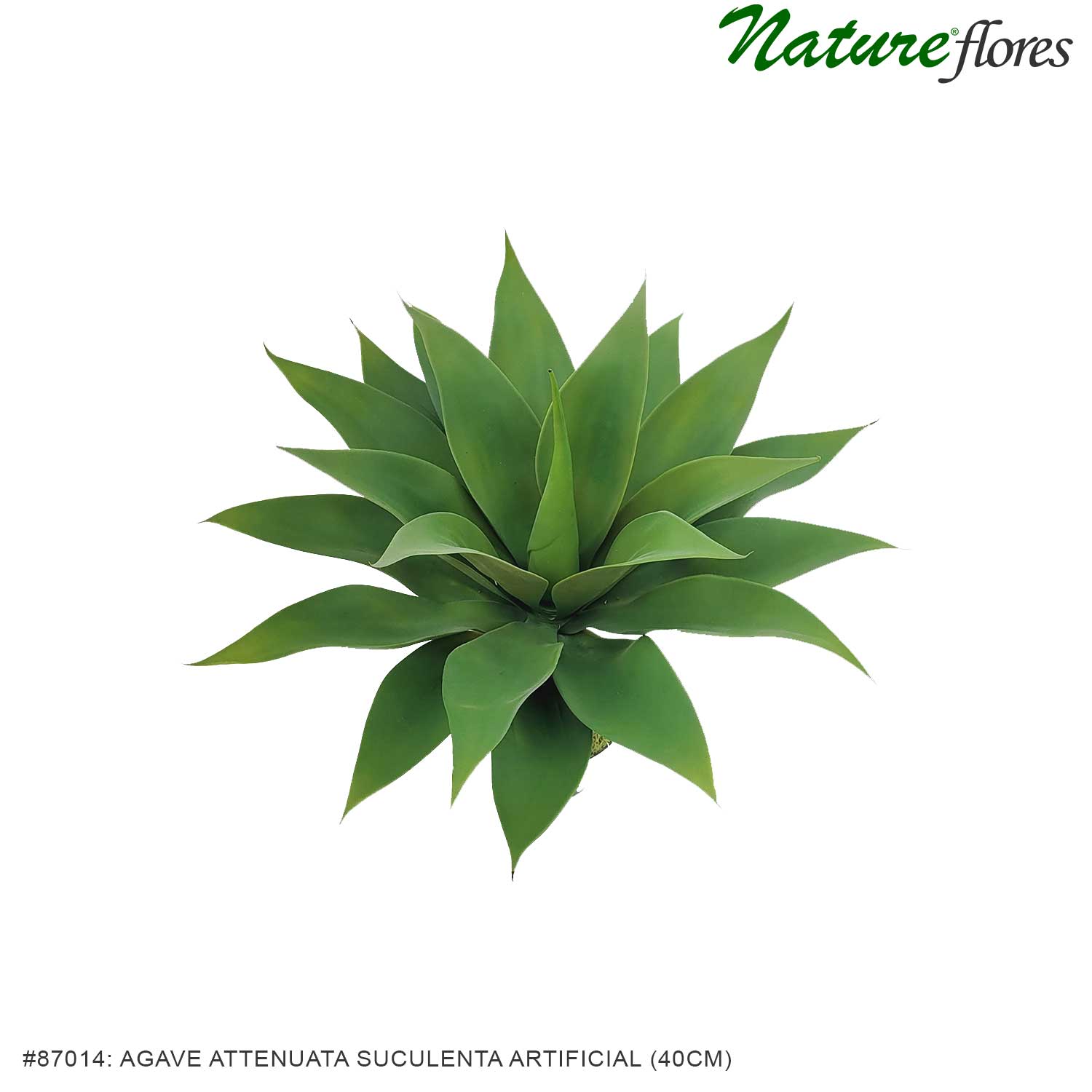 Agave Attenuata Suculenta Artificial (40cm) - Imagem 3