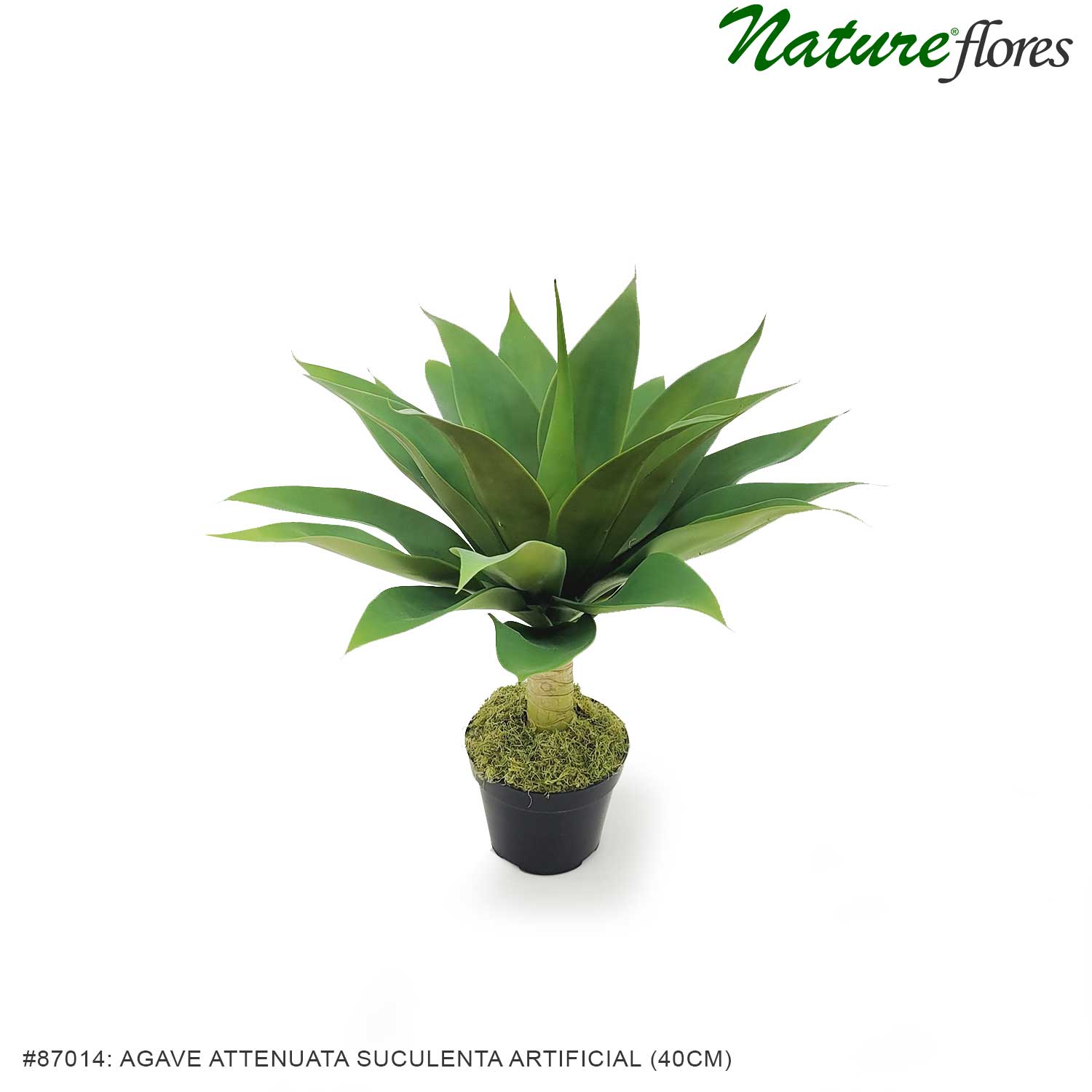 Agave Attenuata Suculenta Artificial (40cm) - Imagem 2