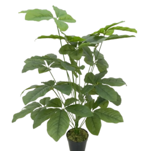 Scheflera Arbusto Artificial (1,00m)