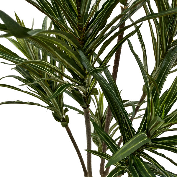 Dracena Marginata Árvore Artificial (1,20m) - Imagem 2