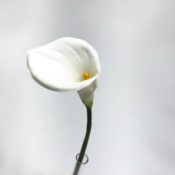 Copo de Leite Branco Galho Floral Artificial (70cm) - Imagem 2