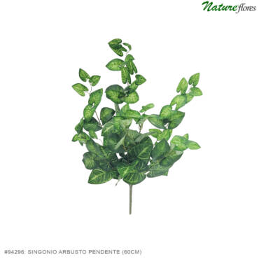 Singonio Arbusto Pendente (60cm)