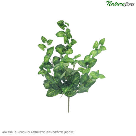 Singonio Arbusto Pendente (60cm)