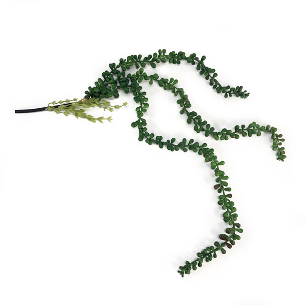 Colar-de-Pérolas Suculenta Pendente Artificial (70cm) - Imagem 5