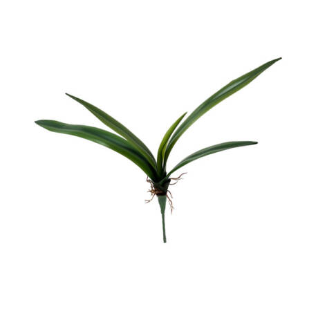 Folha Artificial de Orquídea Verde em Silicone (43cm)
