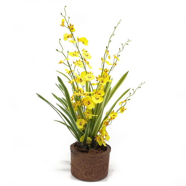 Vaso Fibra Coco 100% Natural - Imagem 3