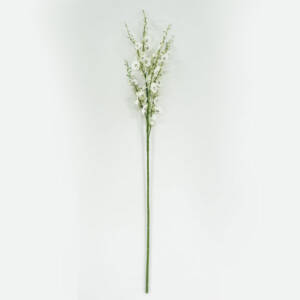 Chuva de Ouro Permanente (1,12m)