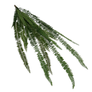 Samambaia Planta Artificial Pendente (1,30m)