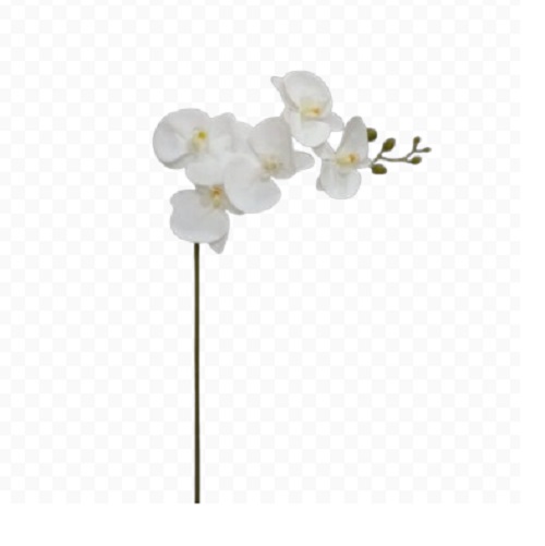 Orquidea Premium Branco Galho Artificial 5F (80cm)