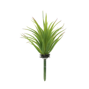 Cacto Aloe Suculenta Artificial (19cm)