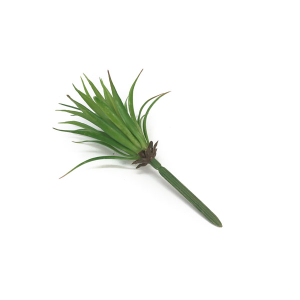 Aloe Suculenta Artificial (14cm) - Imagem 12