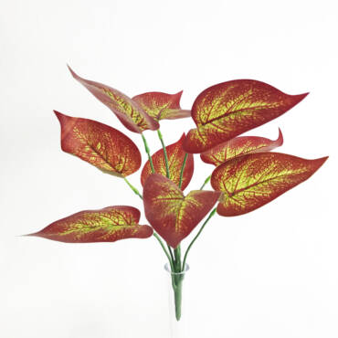 Tinhorão Vermelho Mini x9 (30cm)