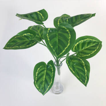 Begônia Mini x9 (30cm)