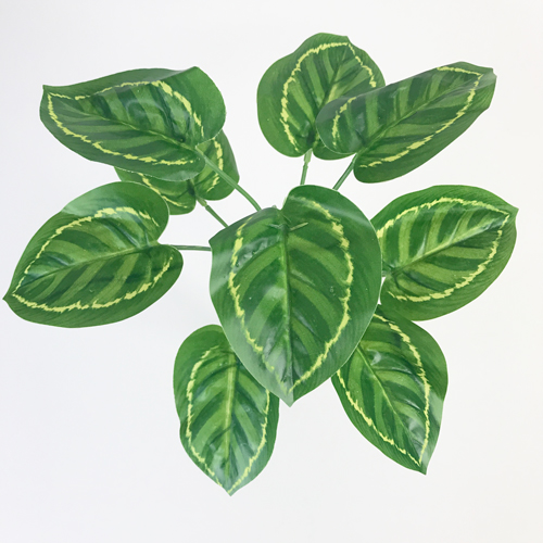 Begônia Mini x9 (30cm) - Imagem 2