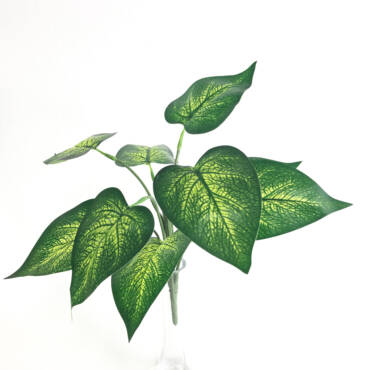 Jiboia Mini x9 (30cm)
