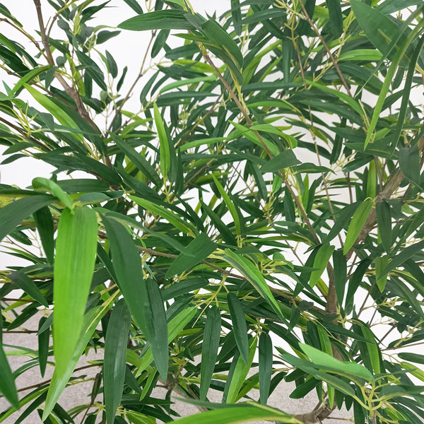 Bambu Mossô Siliconado Duplo Árvore Semi-Artificial (1,80m) - Imagem 2