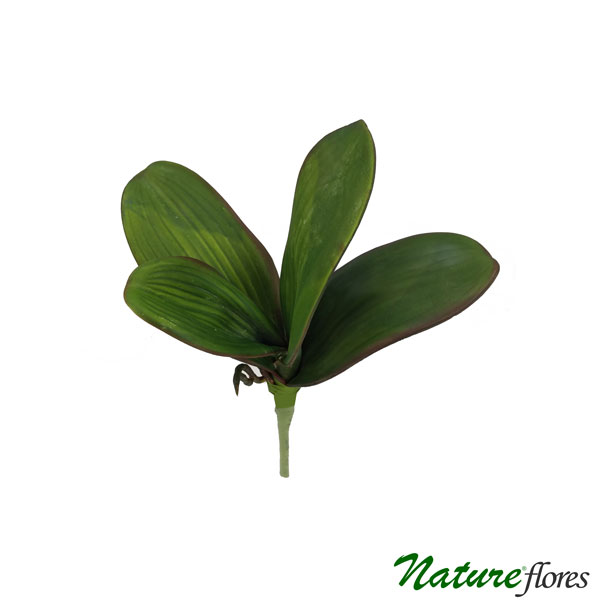 Folha de Orquídea Phalaenopsis Artificial 4F (30cm)